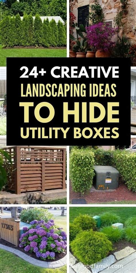 shrubs to cover electrical box